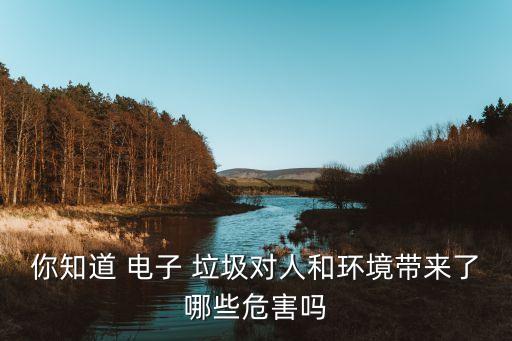 中國(guó)電子垃圾污染,電子垃圾帶來(lái)的污染物質(zhì)有哪些