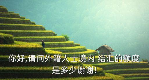 你好,請問外籍人士境內 結匯的額度是多少謝謝!