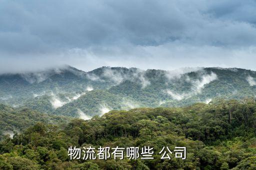 珠海中外運報關公司,中外運報關資料怎么上傳