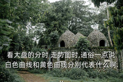 看大盤的分時(shí) 走勢(shì)圖時(shí),通俗一點(diǎn)說(shuō)白色曲線和黃色曲線分別代表什么啊...