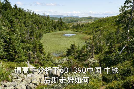 中國(guó)中鐵個(gè)股點(diǎn)評(píng)