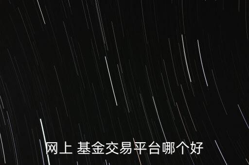 網(wǎng)上 基金交易平臺哪個(gè)好