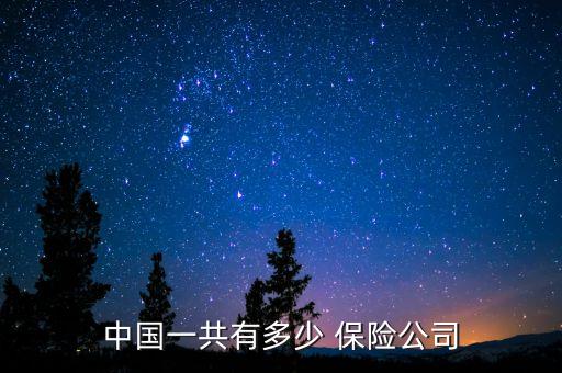 中國一共有多少 保險公司