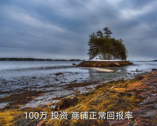 100萬(wàn) 投資 商鋪正?；貓?bào)率