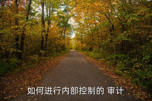 上市公司年度審計(jì)計(jì)劃,2022年度上市公司審計(jì)報告