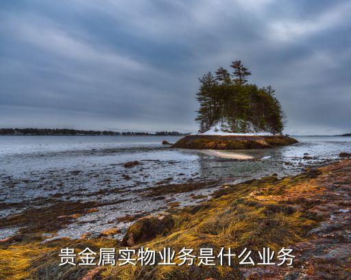  貴金屬實物業(yè)務是什么業(yè)務