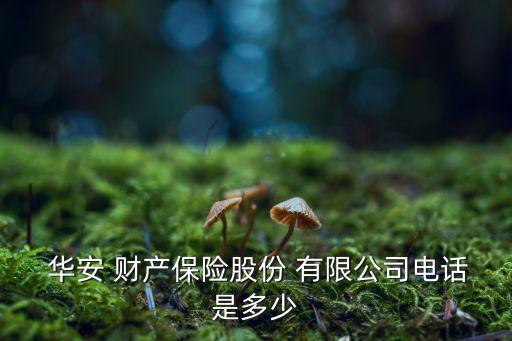 華安財(cái)產(chǎn)保險(xiǎn)股份有限公司天津分公司