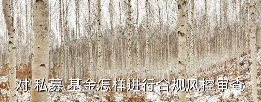 私募證券基金風(fēng)控制度,基金從業(yè)私募和證券哪個簡單