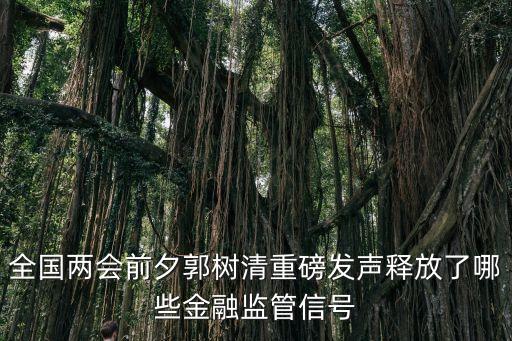 全國(guó)兩會(huì)前夕郭樹(shù)清重磅發(fā)聲釋放了哪些金融監(jiān)管信號(hào)