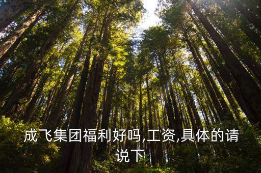  成飛集團(tuán)福利好嗎,工資,具體的請(qǐng)說下