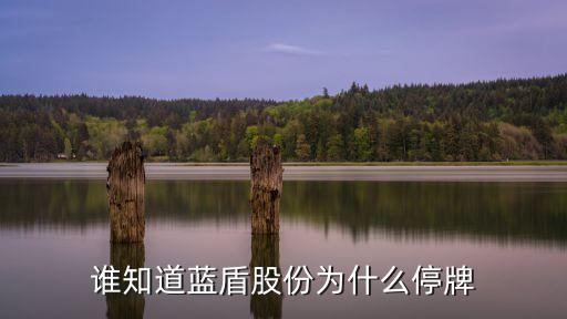 誰知道藍(lán)盾股份為什么停牌