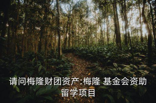請問梅隆財團(tuán)資產(chǎn):梅隆 基金會資助留學(xué)項目