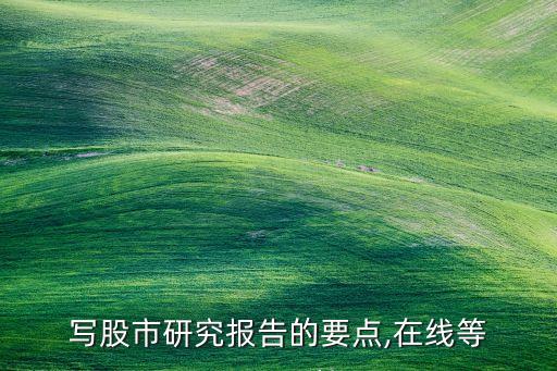寫股市研究報告的要點(diǎn),在線等
