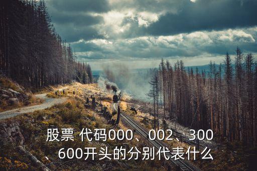  股票 代碼000、002、300、600開頭的分別代表什么