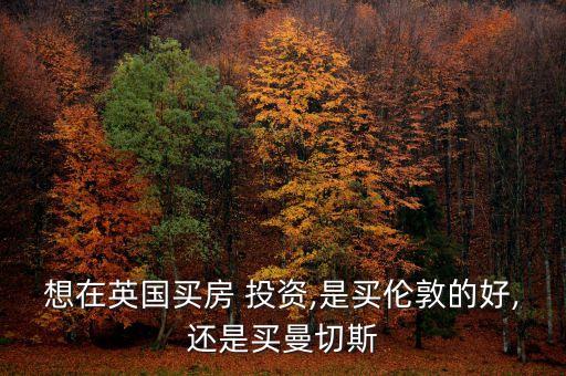想在英國(guó)買房 投資,是買倫敦的好,還是買曼切斯