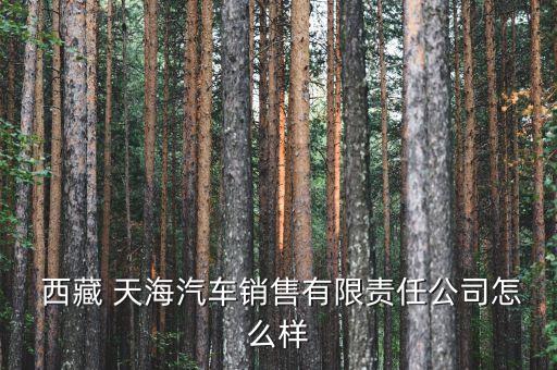  西藏 天海汽車銷售有限責任公司怎么樣