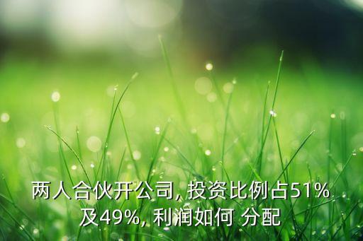 兩人合伙開公司, 投資比例占51%及49%, 利潤(rùn)如何 分配