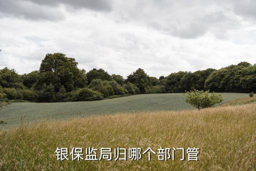 中國保險(xiǎn)監(jiān)督委員會