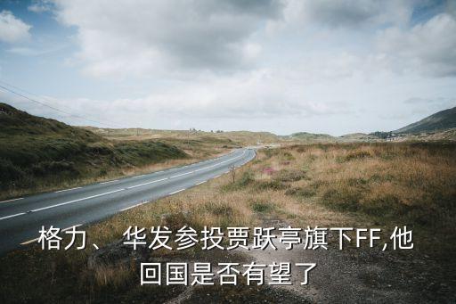格力、 華發(fā)參投賈躍亭旗下FF,他回國(guó)是否有望了