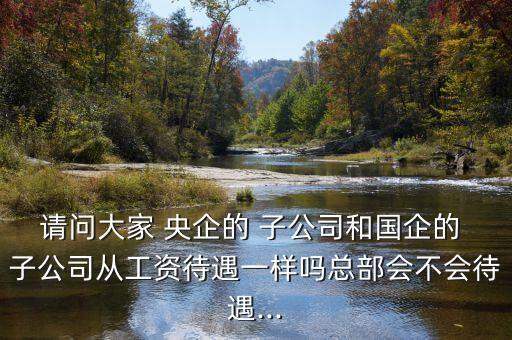 請問大家 央企的 子公司和國企的 子公司從工資待遇一樣嗎總部會(huì)不會(huì)待遇...