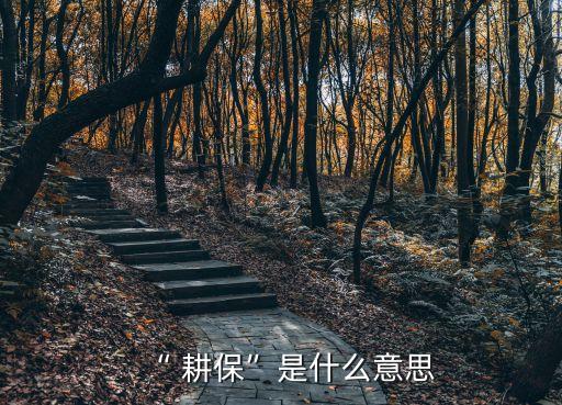 “ 耕?！笔鞘裁匆馑? class=