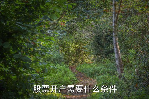  股票開(kāi)戶需要什么條件
