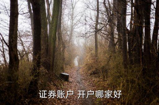 炒股開(kāi)戶(hù)哪個(gè)證券公司好