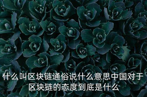 什么叫區(qū)塊鏈通俗說什么意思中國對(duì)于區(qū)塊鏈的態(tài)度到底是什么