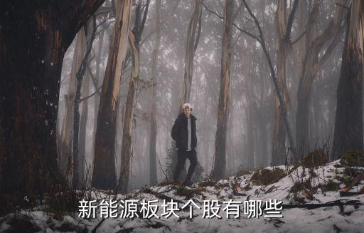 新能源板塊個(gè)股有哪些
