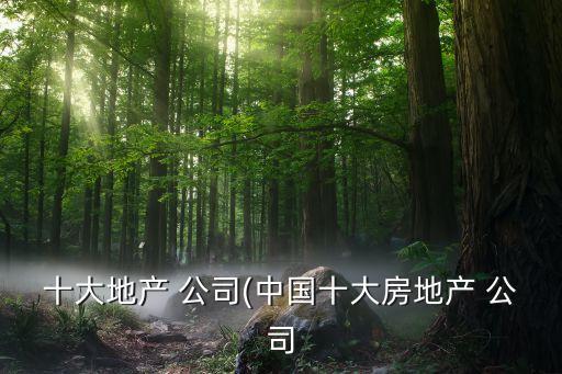 十大地產 公司(中國十大房地產 公司