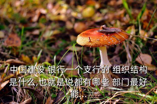 銀行科技部門組織架構,中國郵政儲蓄銀行組織架構圖