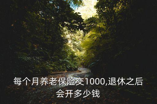 每個(gè)月養(yǎng)老保險(xiǎn)交1000,退休之后會(huì)開(kāi)多少錢