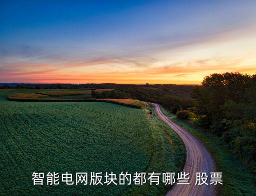 智能電網版塊的都有哪些 股票