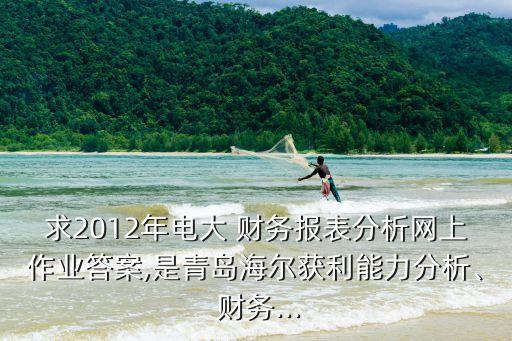 求2012年電大 財(cái)務(wù)報(bào)表分析網(wǎng)上作業(yè)答案,是青島海爾獲利能力分析、 財(cái)務(wù)...