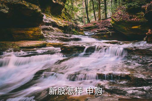 新股怎樣 申購(gòu)