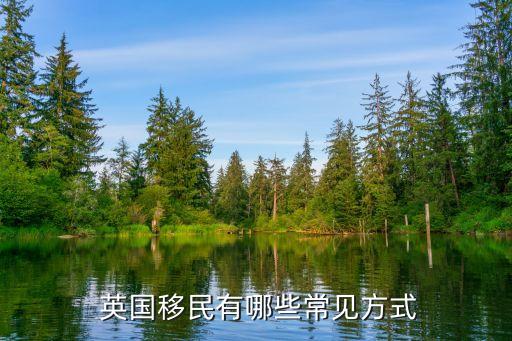 2015年中國(guó)在英國(guó)投資