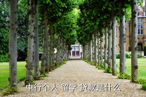 中行個(gè)人 留學(xué) 貸款是什么