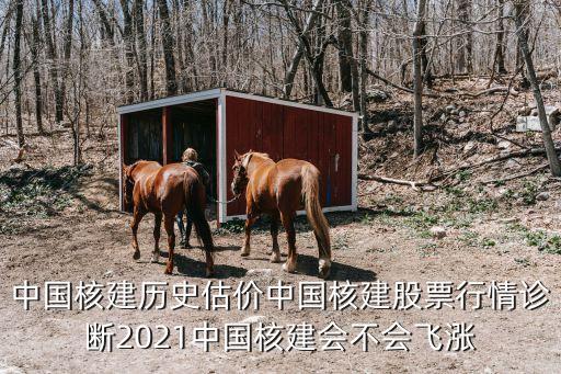 中國(guó)核電原始股多少錢
