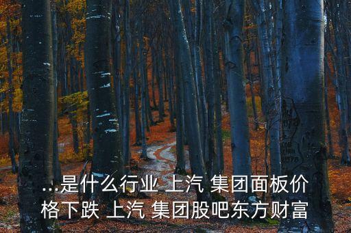 ...是什么行業(yè) 上汽 集團面板價格下跌 上汽 集團股吧東方財富