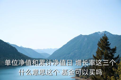 單位凈值和累計(jì)凈值日 增長(zhǎng)率這三個(gè)什么意思這個(gè) 基金可以買(mǎi)嗎