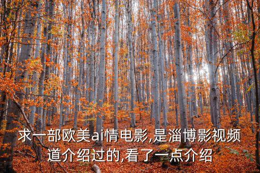 求一部歐美ai情電影,是淄博影視頻道介紹過(guò)的,看了一點(diǎn)介紹