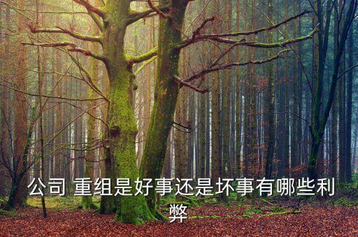 000005重組對(duì)公司影響
