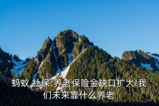 社?；痣p軌制