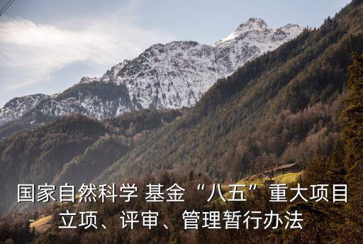 國家自然科學(xué) 基金“八五”重大項(xiàng)目立項(xiàng)、評審、管理暫行辦法