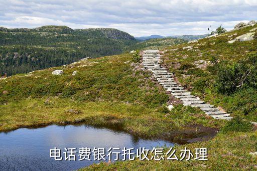 中國(guó)銀行交換號(hào)查詢(xún)