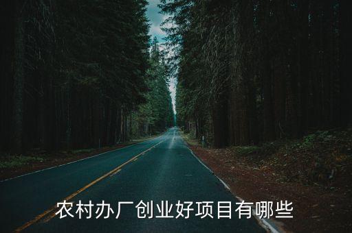 農(nóng)村辦廠創(chuàng)業(yè)好項(xiàng)目有哪些