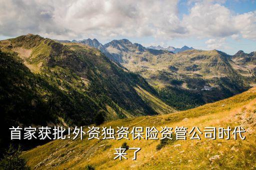 首家獲批!外資獨(dú)資保險資管公司時代來了