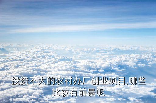  投資不大的農(nóng)村辦廠創(chuàng)業(yè)項(xiàng)目,哪些比較有前景呢