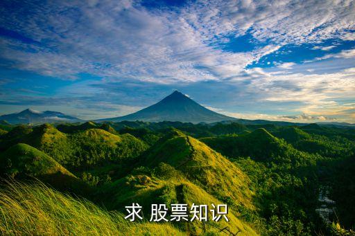 股票的流動性,公募發(fā)行股票的流動性