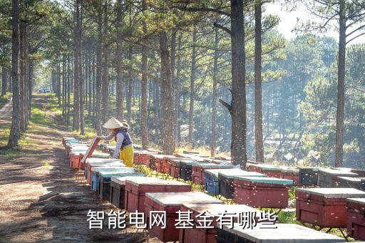 智能電網 基金有哪些